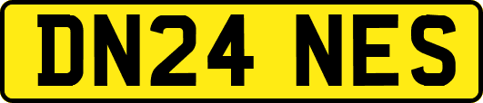 DN24NES