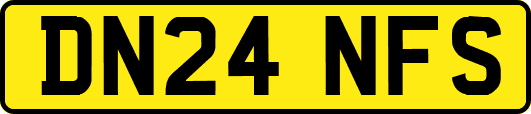 DN24NFS