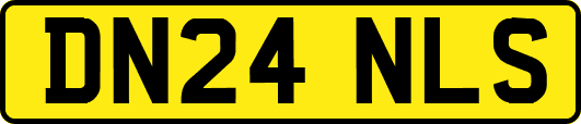 DN24NLS