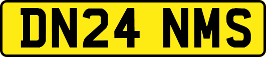 DN24NMS