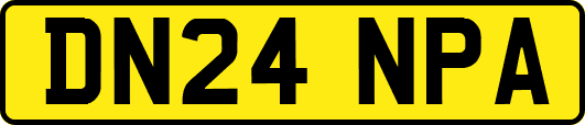 DN24NPA