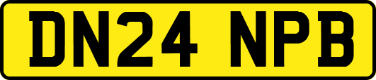 DN24NPB