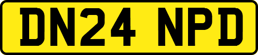DN24NPD