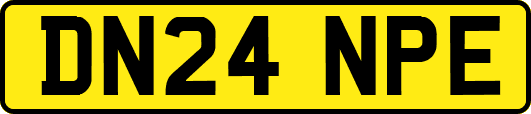 DN24NPE
