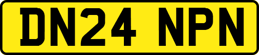 DN24NPN