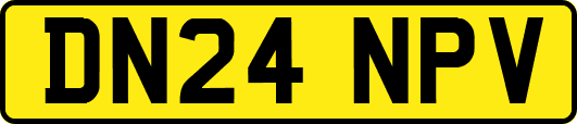 DN24NPV