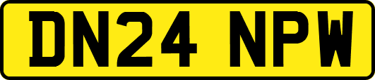 DN24NPW