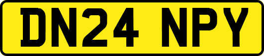 DN24NPY