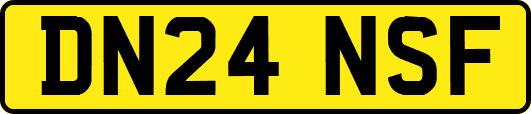 DN24NSF