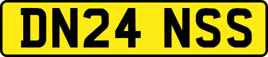 DN24NSS