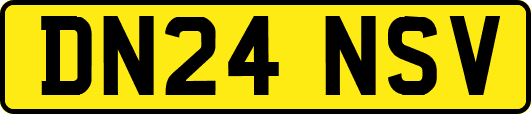 DN24NSV