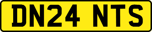 DN24NTS