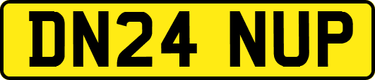 DN24NUP