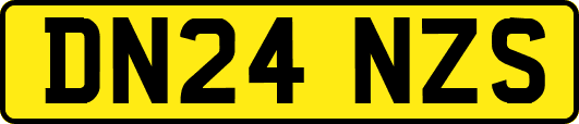 DN24NZS
