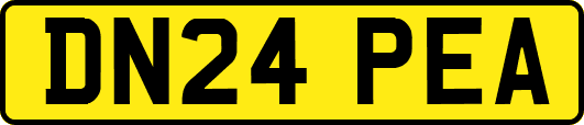 DN24PEA