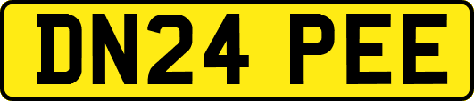 DN24PEE