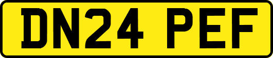 DN24PEF