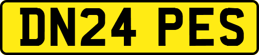 DN24PES