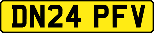 DN24PFV