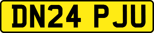 DN24PJU