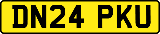 DN24PKU