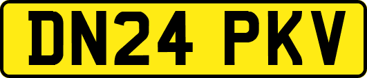 DN24PKV