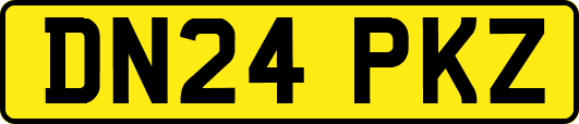 DN24PKZ