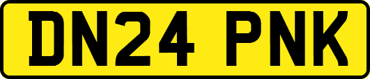 DN24PNK