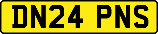 DN24PNS