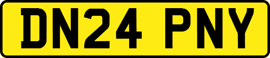 DN24PNY