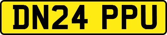 DN24PPU