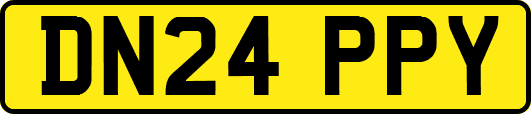 DN24PPY
