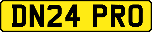 DN24PRO