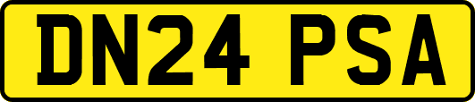 DN24PSA