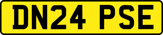 DN24PSE