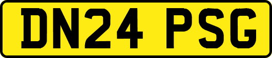 DN24PSG