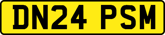 DN24PSM