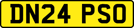 DN24PSO