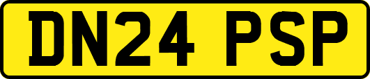 DN24PSP