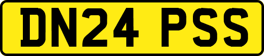 DN24PSS