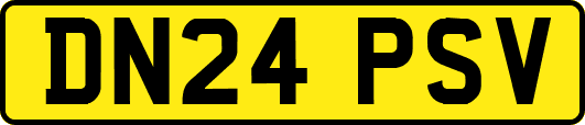 DN24PSV