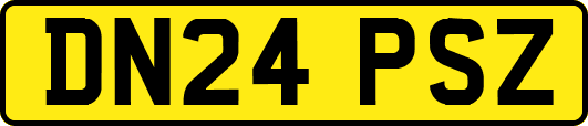 DN24PSZ