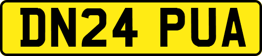 DN24PUA