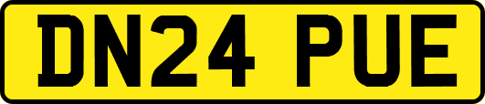 DN24PUE