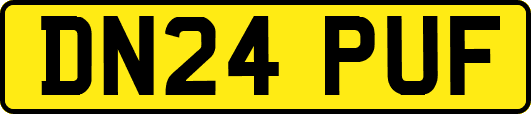 DN24PUF