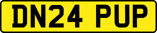 DN24PUP