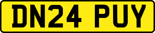 DN24PUY