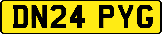 DN24PYG