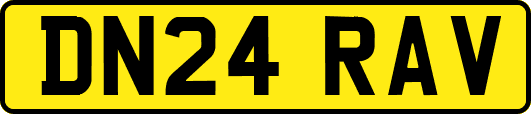 DN24RAV