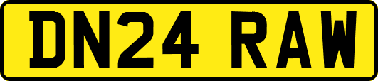 DN24RAW